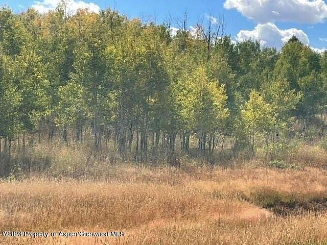 296 Acres of Land for Sale in Craig, Colorado