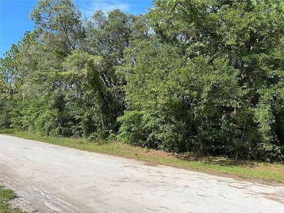 1.25 Acres of Residential Land for Sale in Morriston, Florida