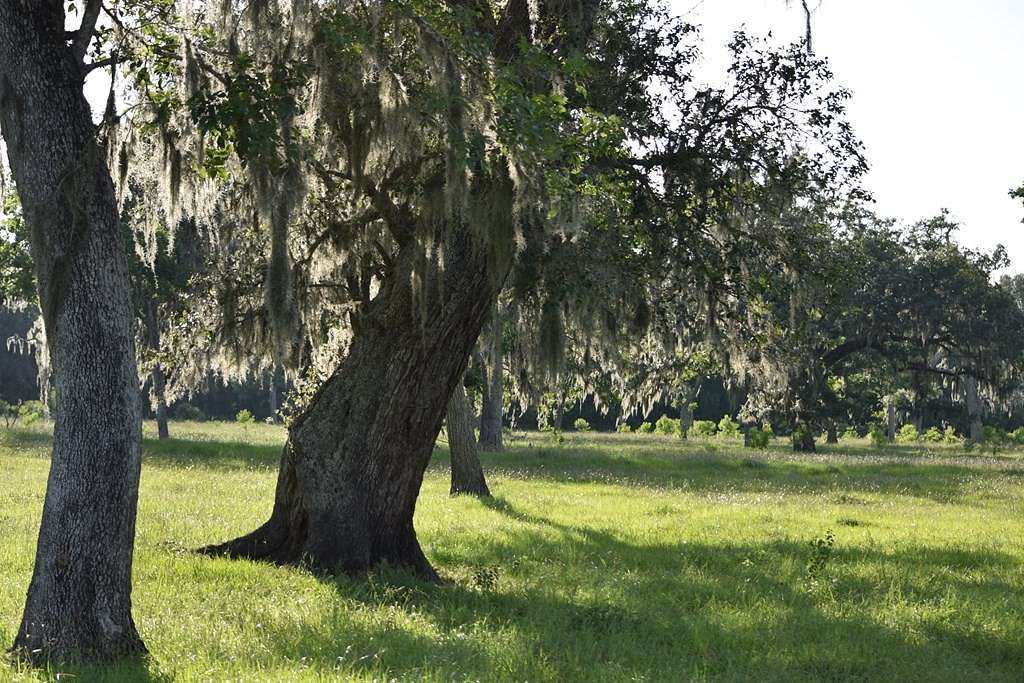 283.815 Acres of Improved Agricultural Land for Sale in Angleton, Texas