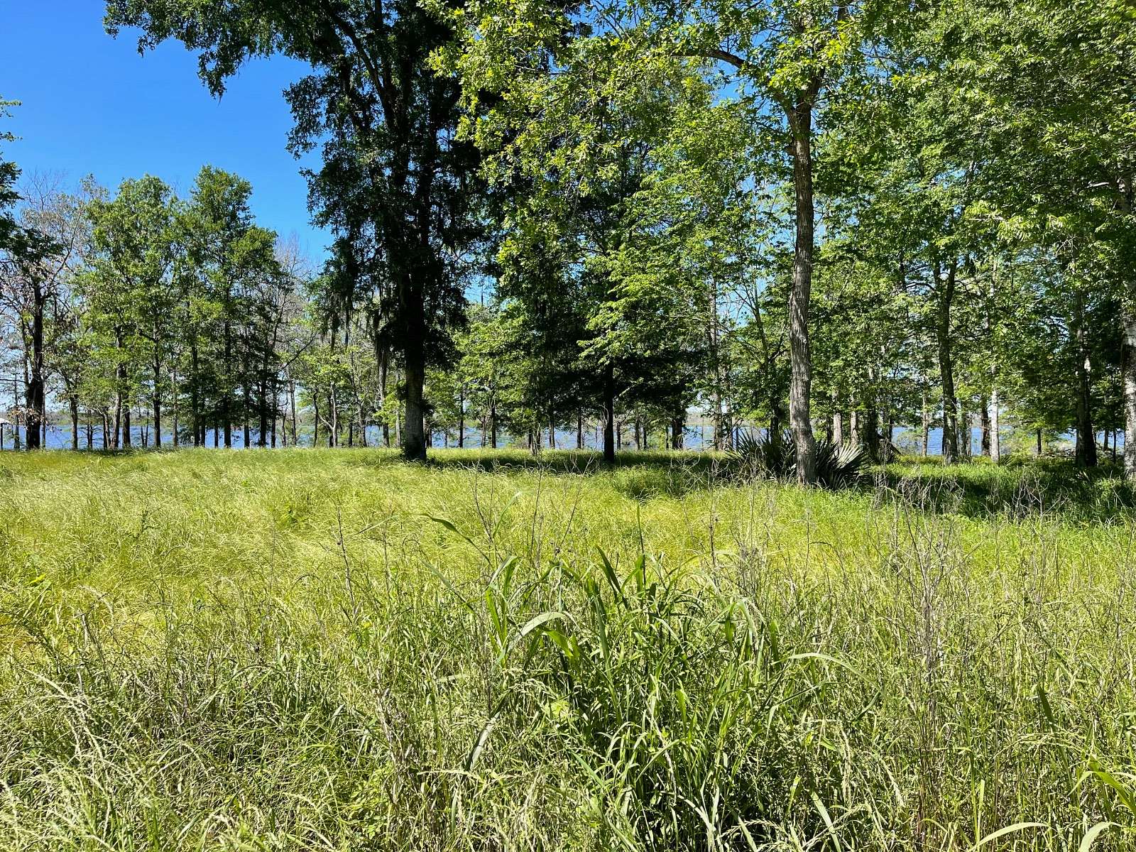 1.15 Acres of Residential Land for Sale in Effie, Louisiana