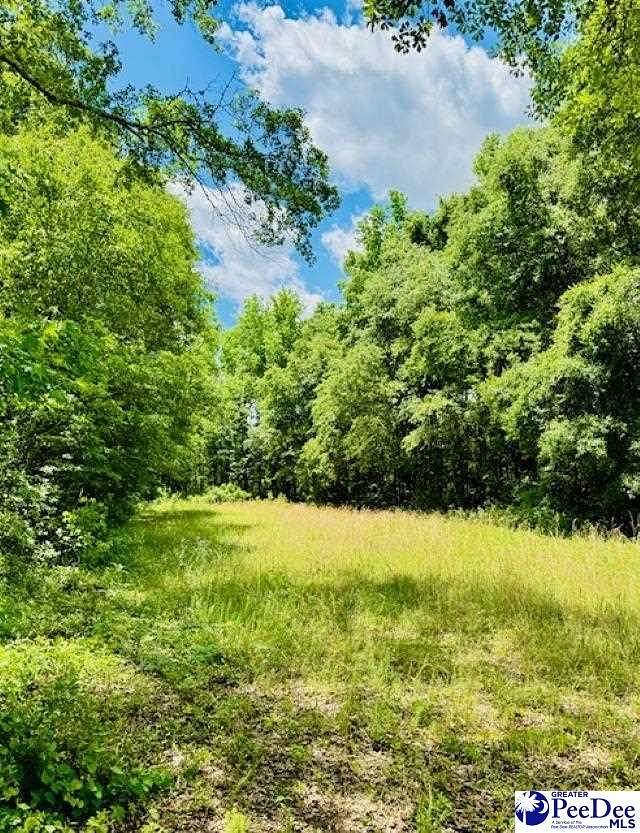 10 Acres of Land for Sale in Bennettsville, South Carolina