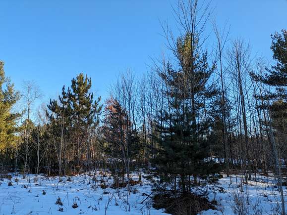 0.45 Acres of Residential Land for Sale in Kaleva, Michigan