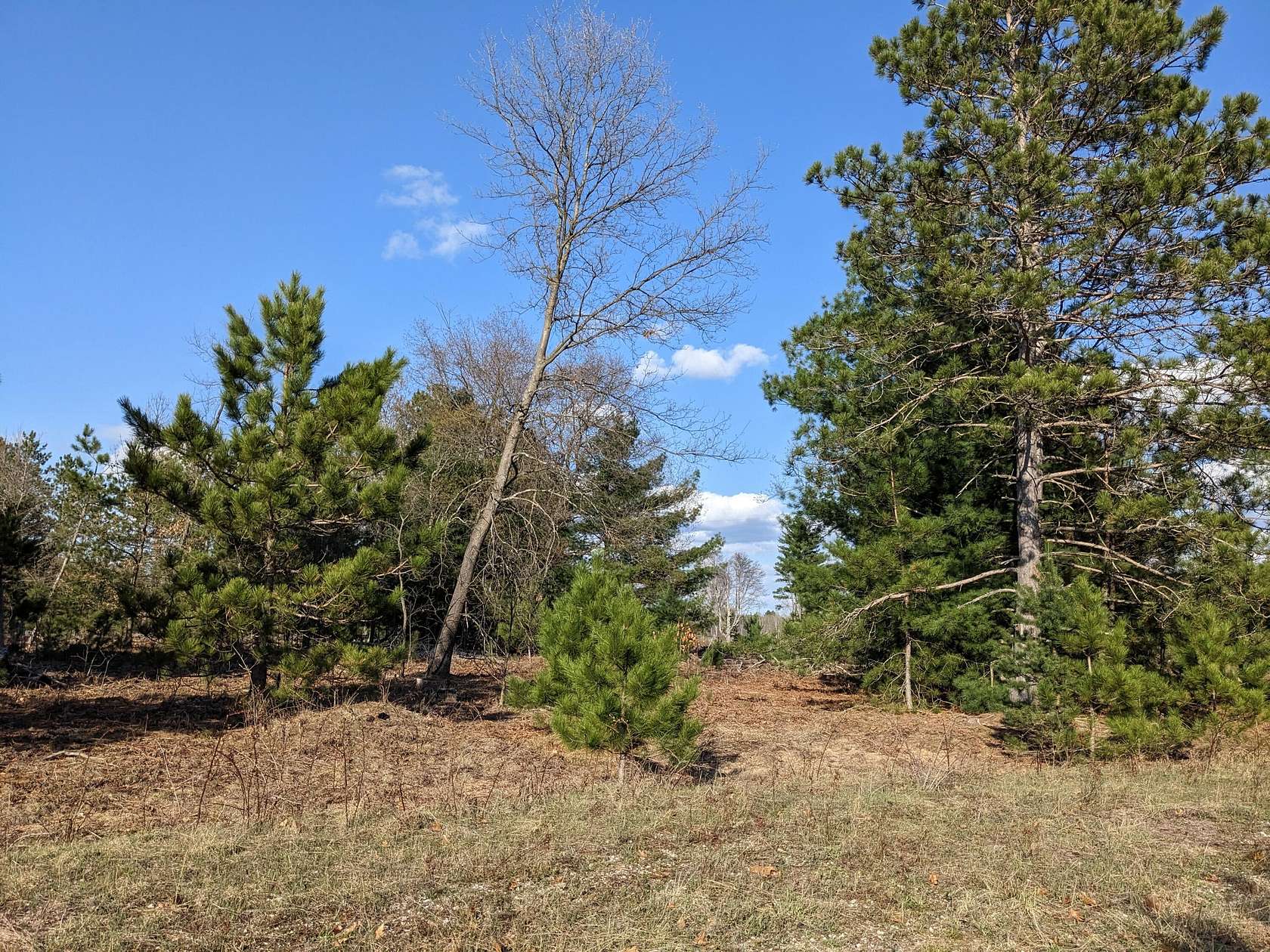0.46 Acres of Residential Land for Sale in Kaleva, Michigan