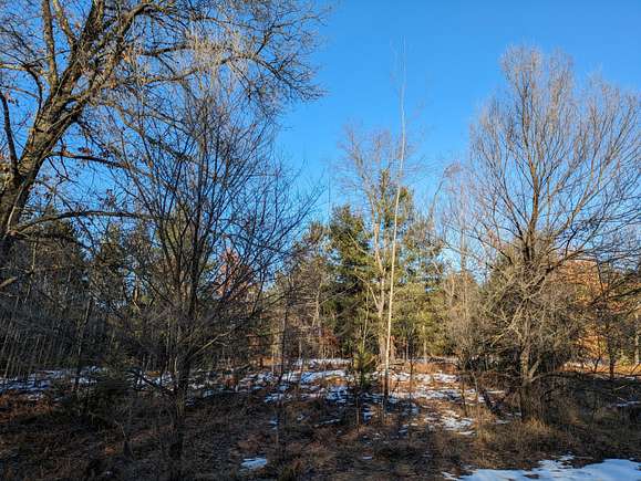 0.45 Acres of Residential Land for Sale in Kaleva, Michigan