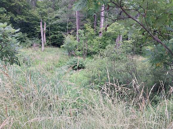 24.8 Acres of Recreational Land for Sale in Beaver Dams, New York