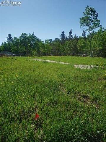 0.34 Acres of Residential Land for Sale in Divide, Colorado