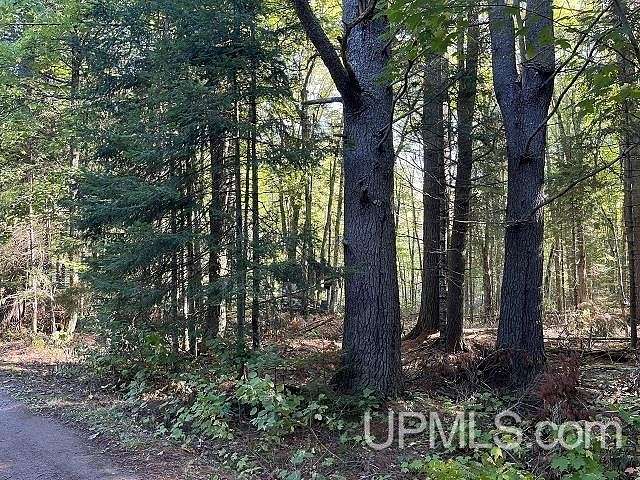 0.75 Acres of Residential Land for Sale in Michigamme, Michigan
