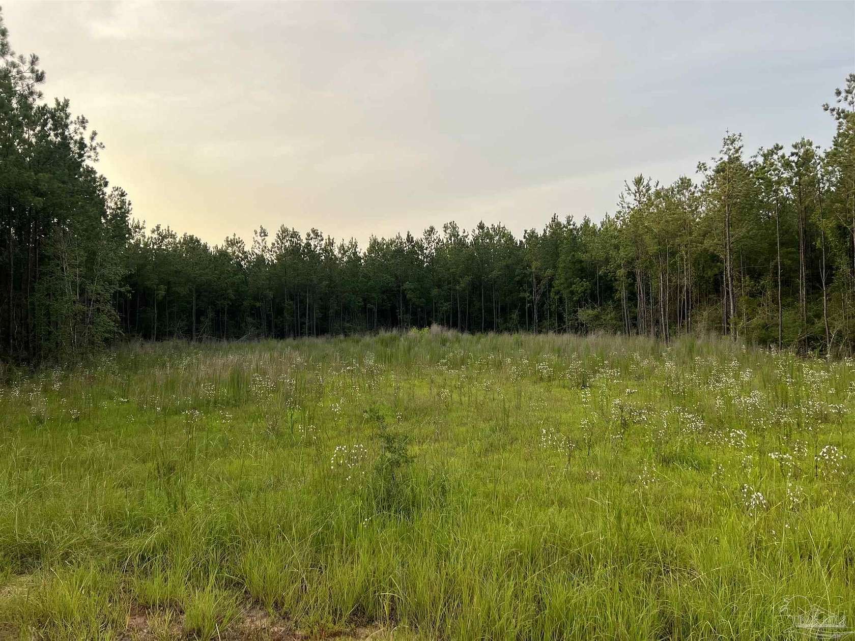 1.9 Acres of Residential Land for Sale in Pace, Florida