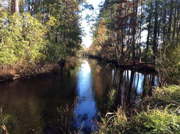 0.37 Acres of Residential Land for Sale in Walterboro, South Carolina