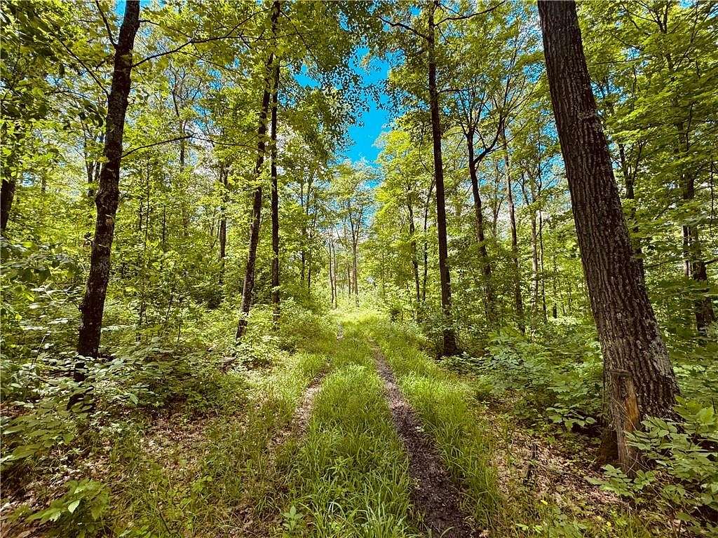 80 Acres of Recreational Land for Sale in Birchwood, Wisconsin