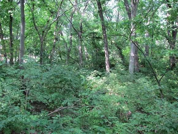 0.9 Acres of Residential Land for Sale in Urbandale, Iowa