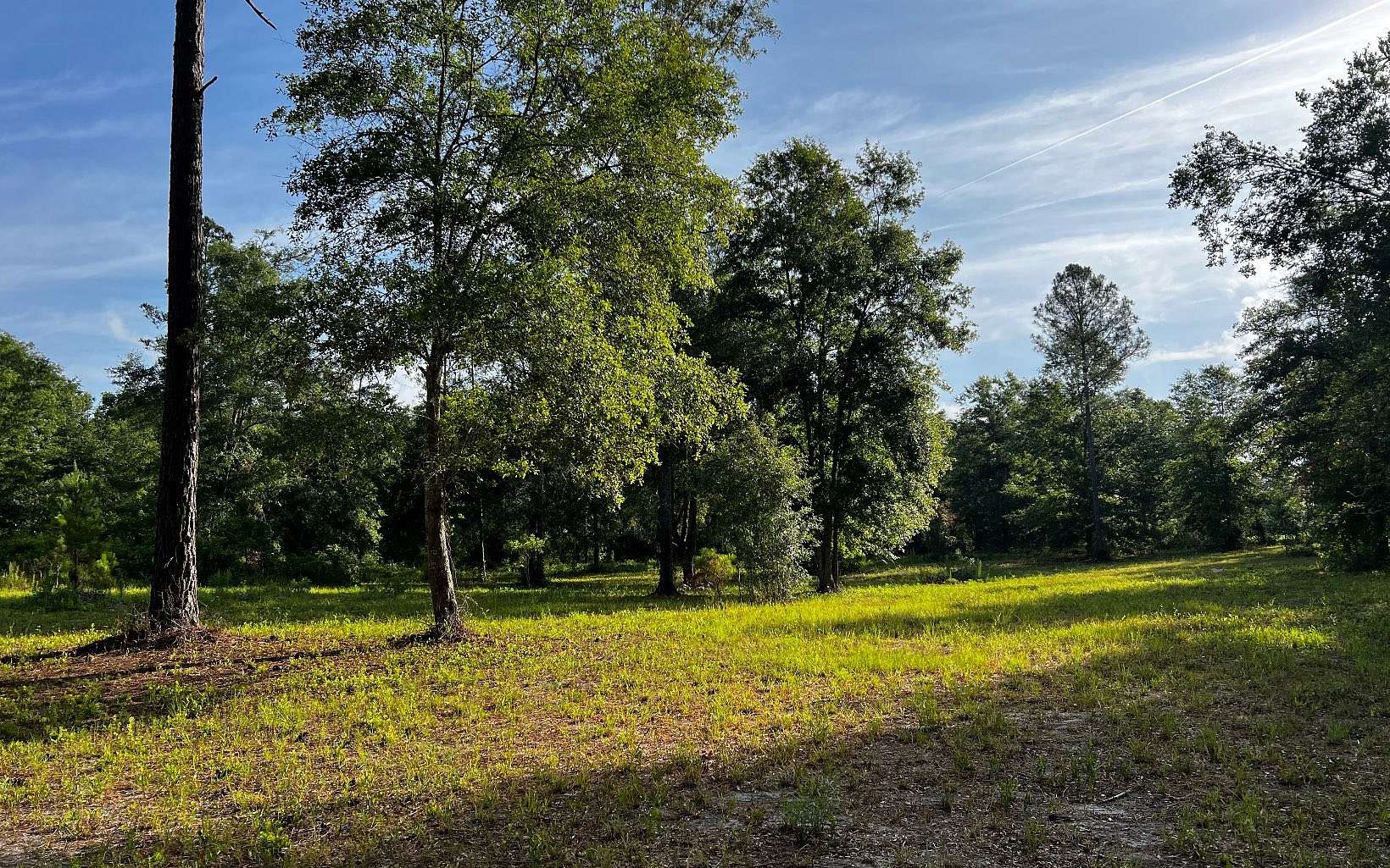 5 Acres of Residential Land for Sale in Live Oak, Florida