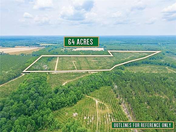 64.7 Acres of Land for Sale in Lumber City, Georgia