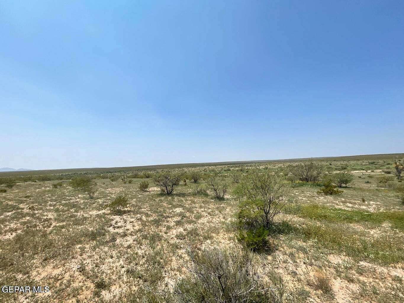 40 Acres of Land for Sale in Sierra Blanca, Texas