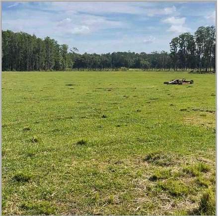 22.28 Acres of Recreational Land & Farm for Sale in Lakeland, Florida