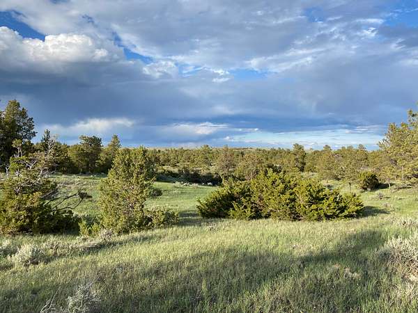 320 Acres of Recreational & Residential Land for Sale in Lewistown, Montana
