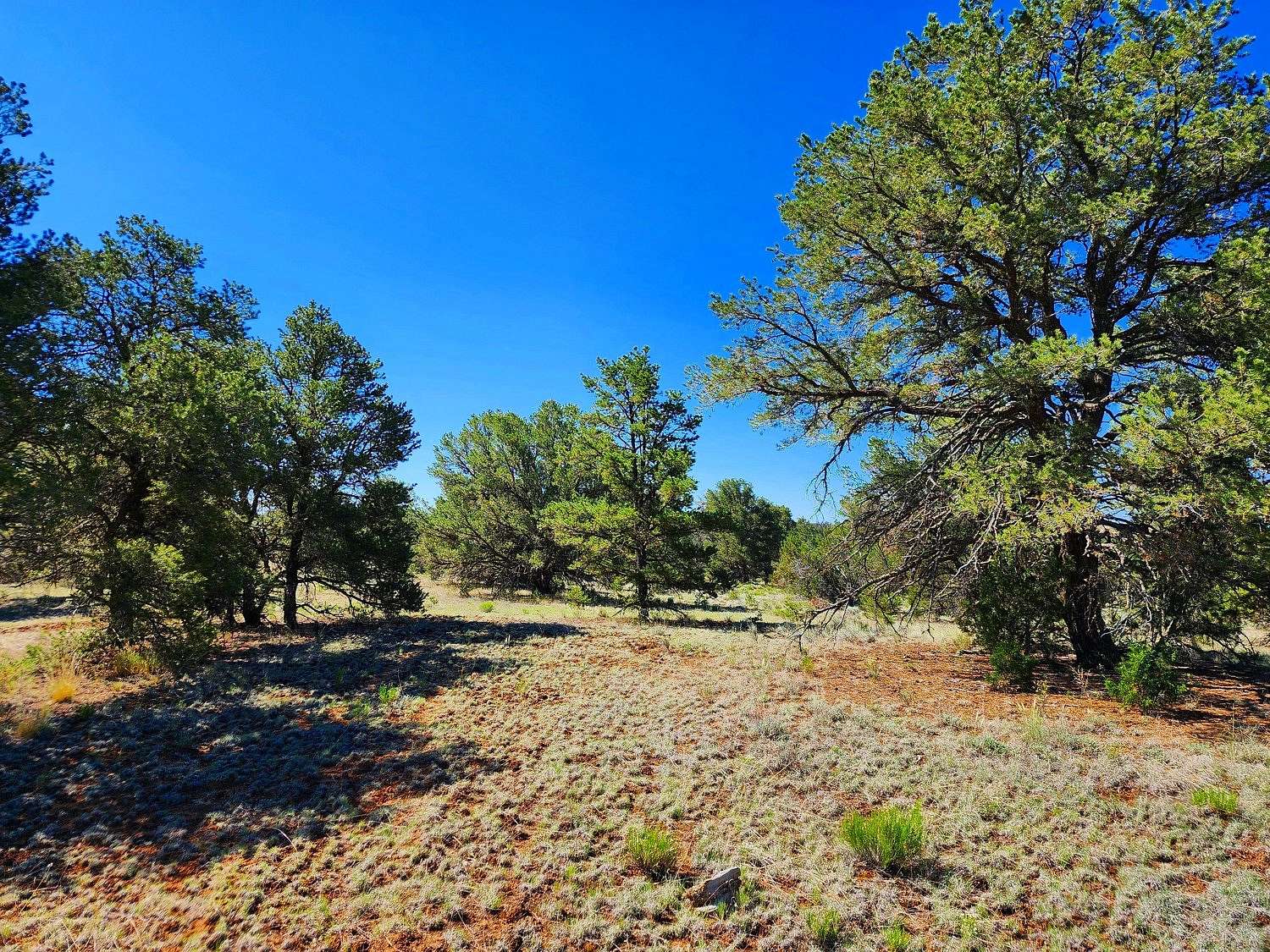 10 Acres of Recreational Land for Sale in Ramah, New Mexico