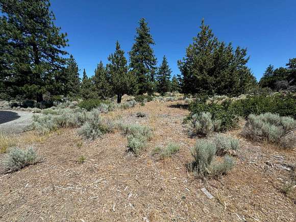 0.25 Acres of Residential Land for Sale in Weed, California