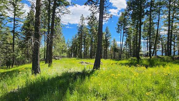 13 Acres of Land for Sale in Bigfork, Montana