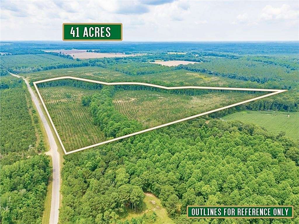 41 Acres of Land for Sale in Lumber City, Georgia