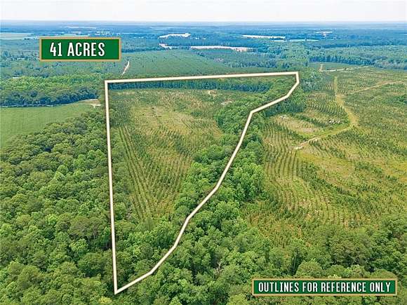 41 Acres of Land for Sale in Lumber City, Georgia