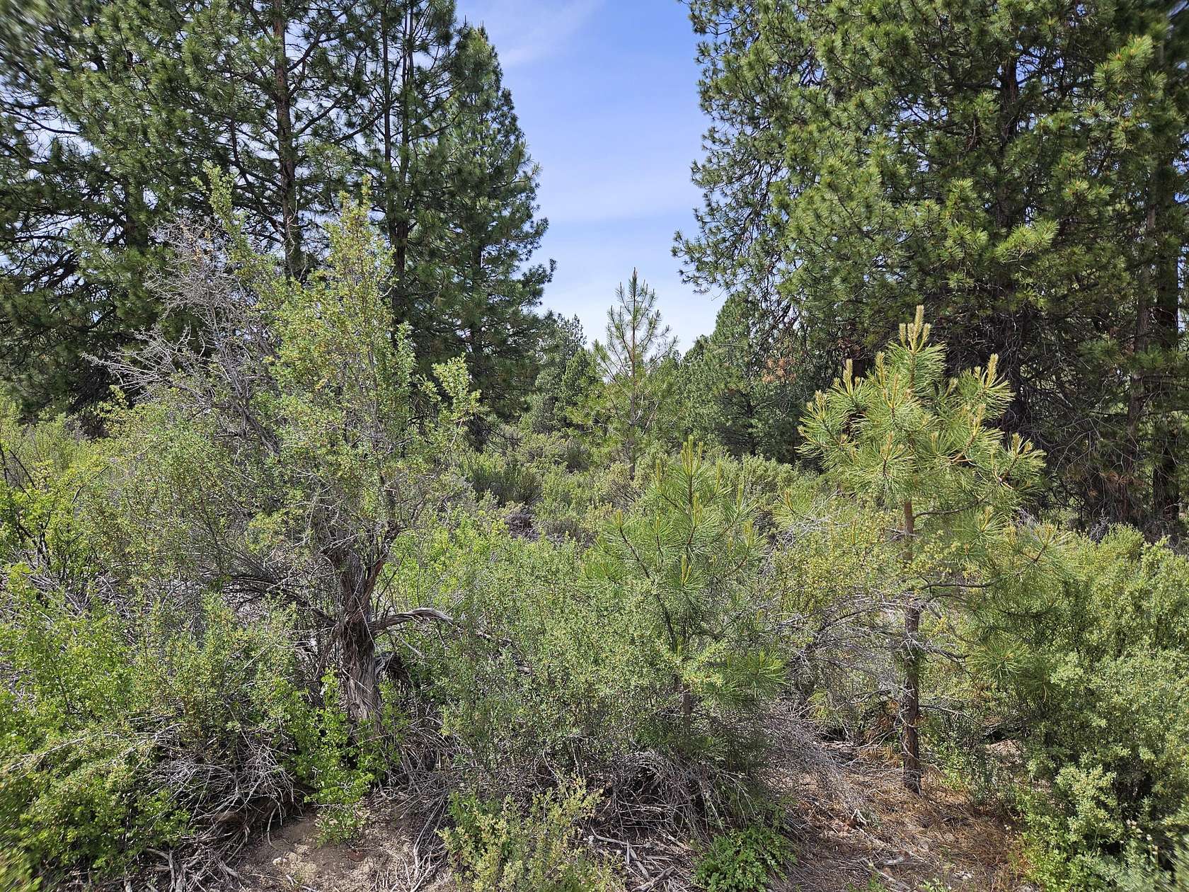 1.25 Acres of Residential Land for Sale in Chiloquin, Oregon