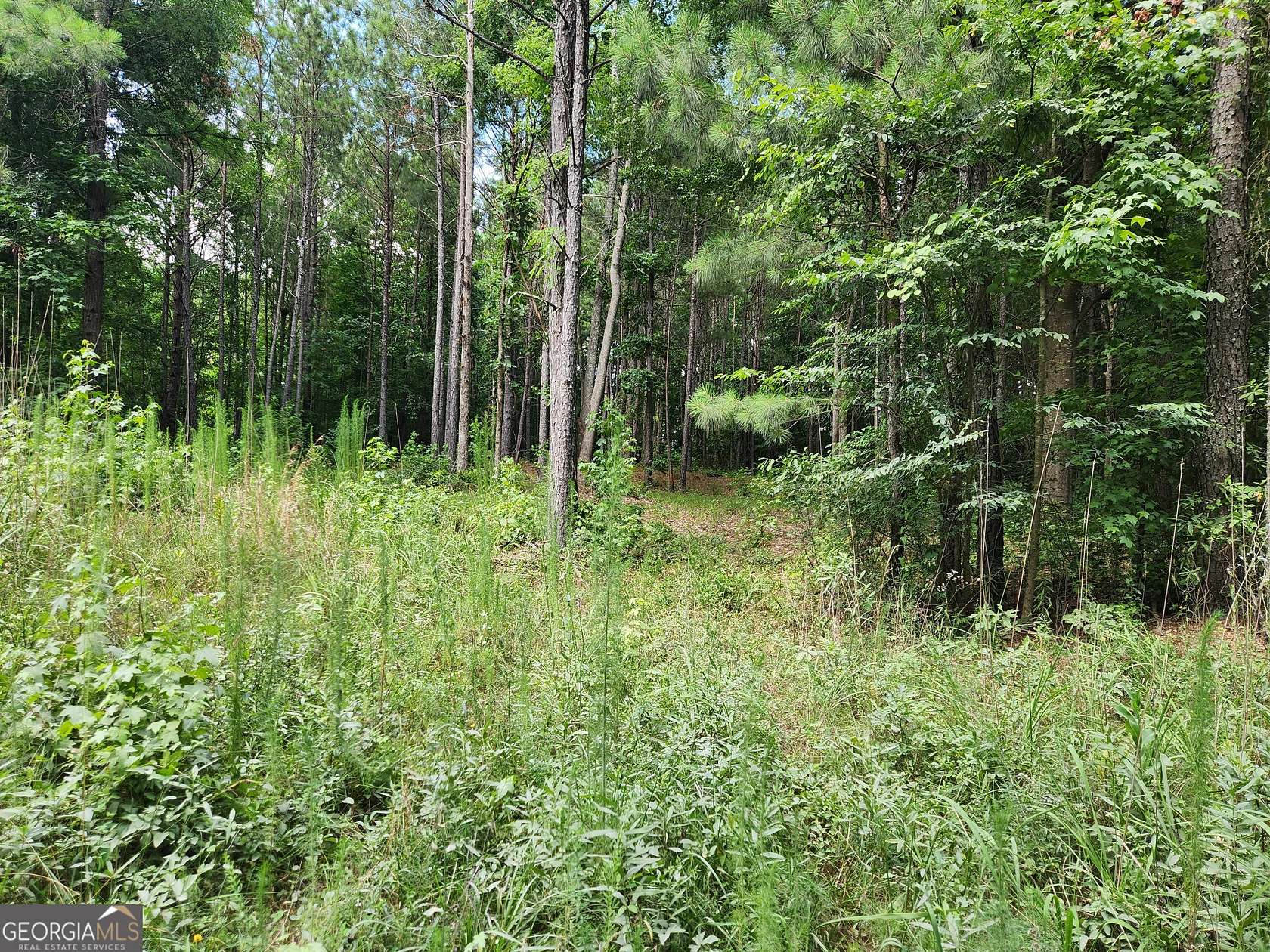 1.08 Acres of Residential Land for Sale in Monticello, Georgia