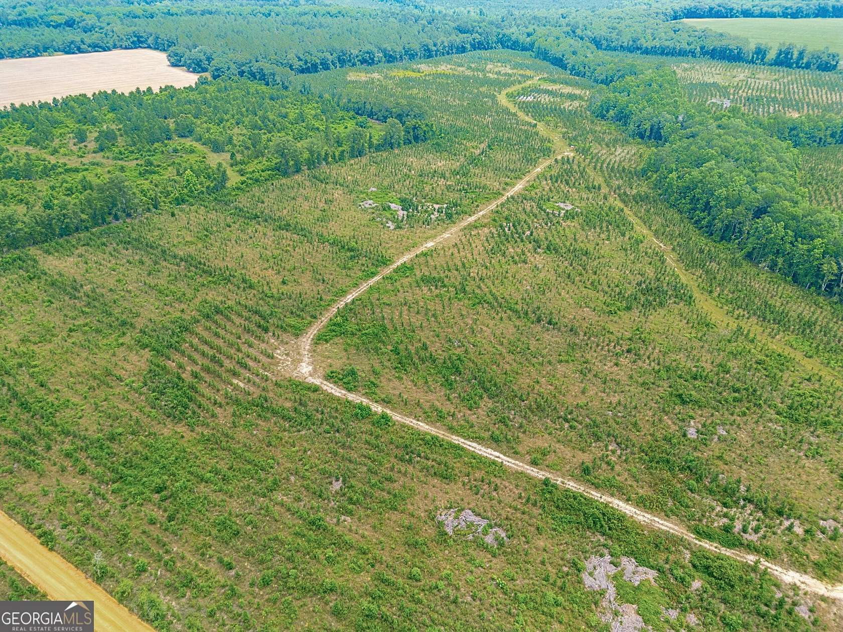 64.7 Acres of Recreational Land for Sale in Lumber City, Georgia