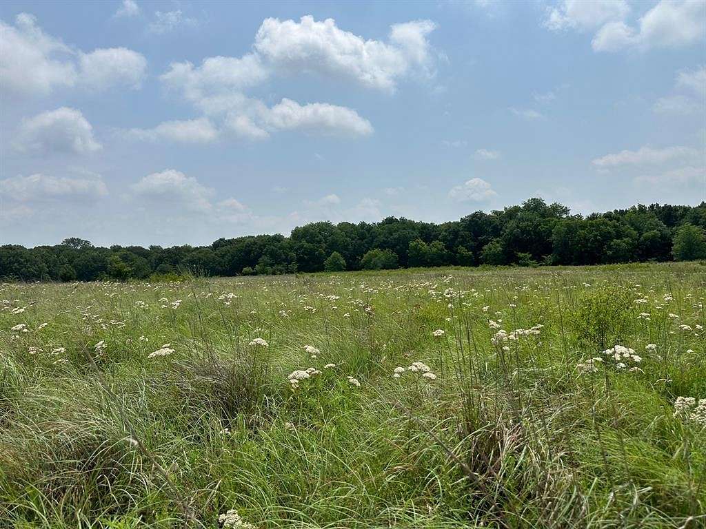 10.02 Acres of Land for Sale in St. Jo, Texas