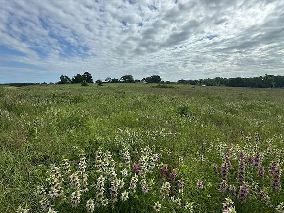 5 Acres of Residential Land for Sale in Canton, Texas