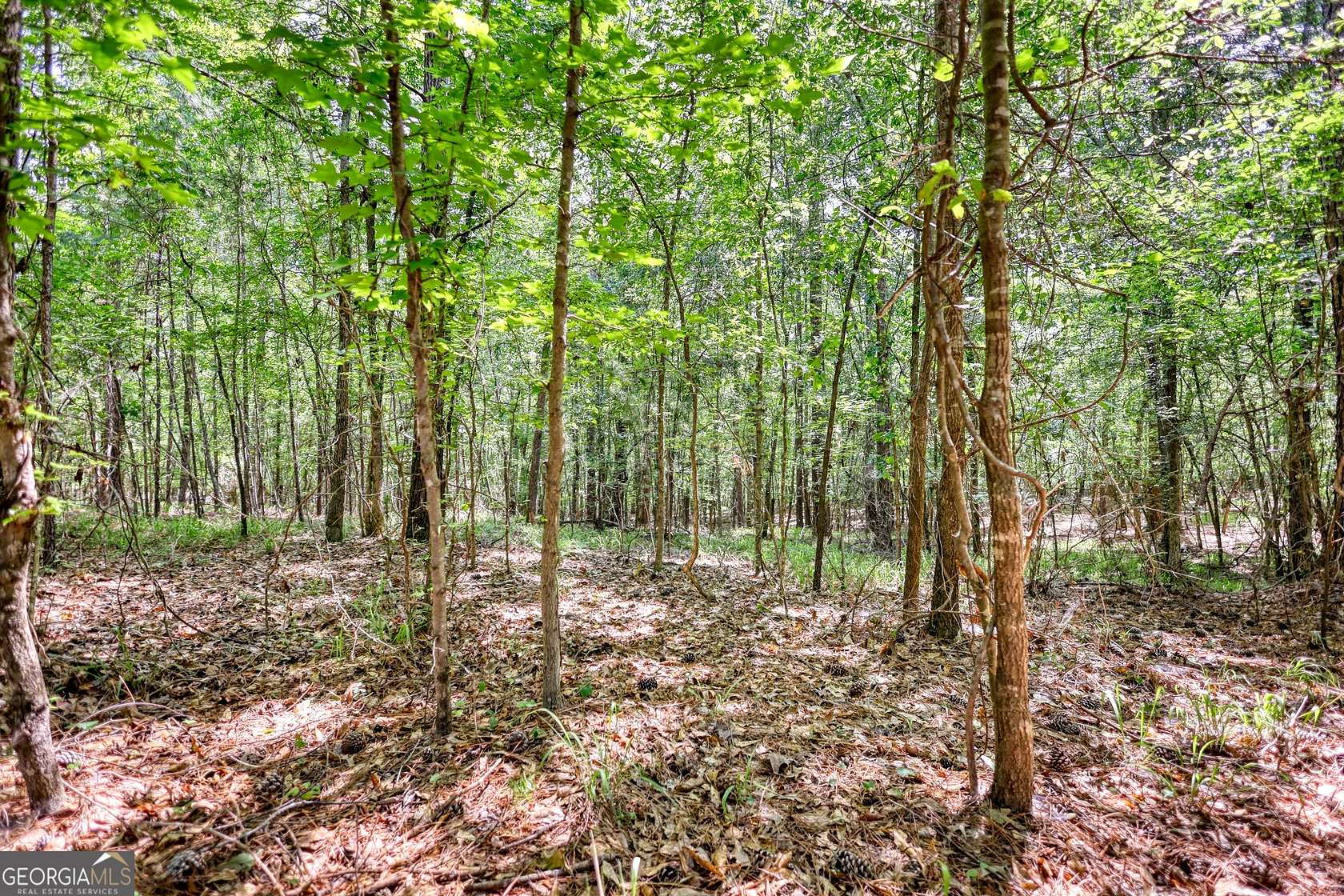 4 Acres of Residential Land for Sale in Eatonton, Georgia