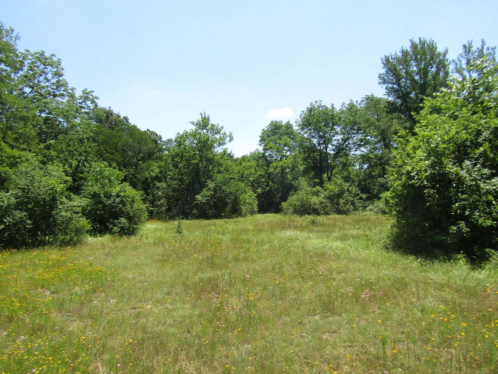 40 Acres of Recreational Land for Sale in Garvin, Oklahoma