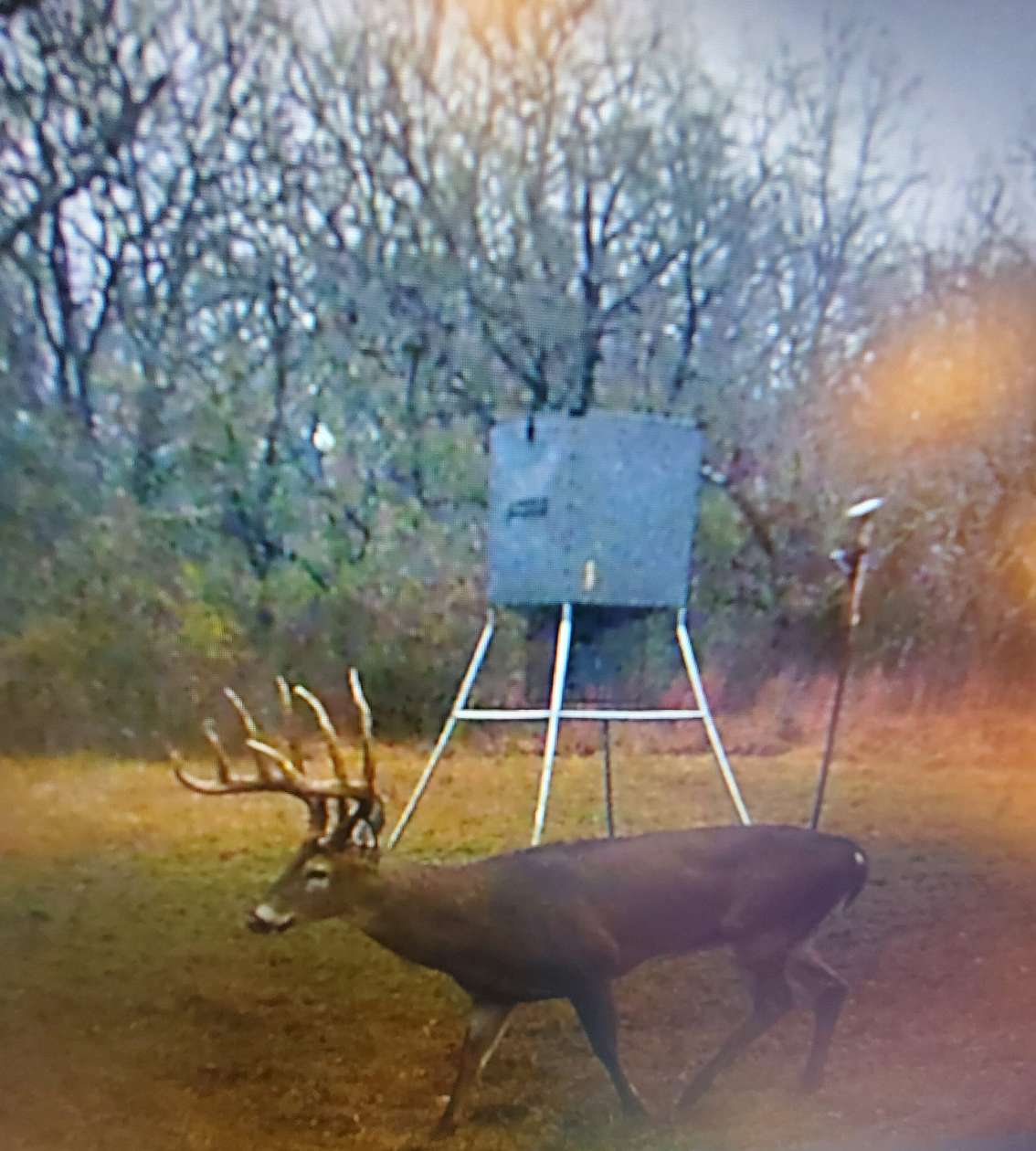 40 Acres of Recreational Land for Sale in Garvin, Oklahoma