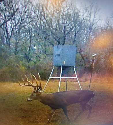 40 Acres of Recreational Land for Sale in Garvin, Oklahoma