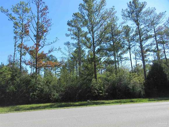 25 Acres of Recreational Land for Sale in Jay, Florida