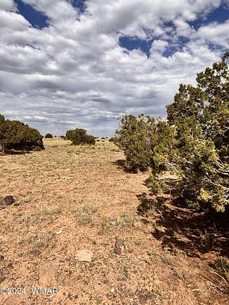 1.04 Acres of Residential Land for Sale in Concho, Arizona