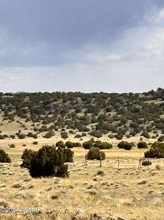 3.12 Acres of Residential Land for Sale in Concho, Arizona