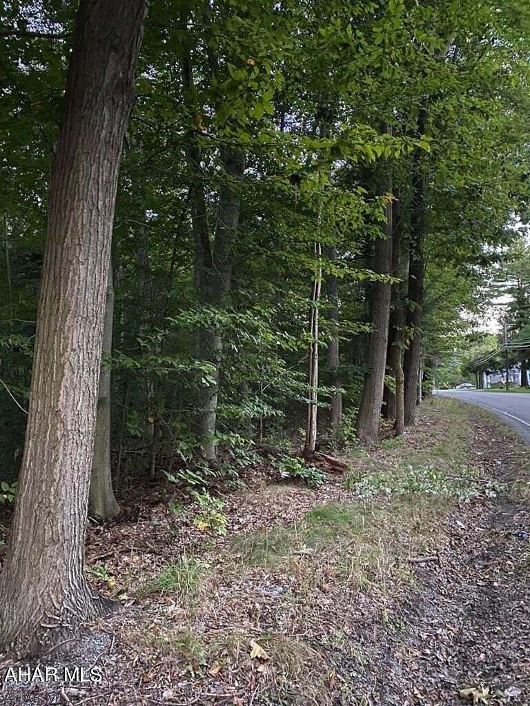 9.85 Acres of Land for Sale in Ebensburg, Pennsylvania