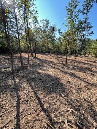 13 Acres of Commercial Land for Sale in Ozone, Arkansas