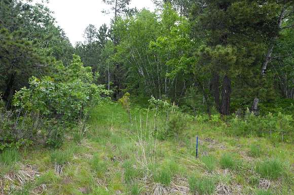 2.28 Acres of Residential Land for Sale in Lead, South Dakota