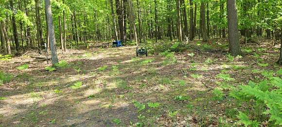 0.29 Acres of Land for Sale in Mears, Michigan