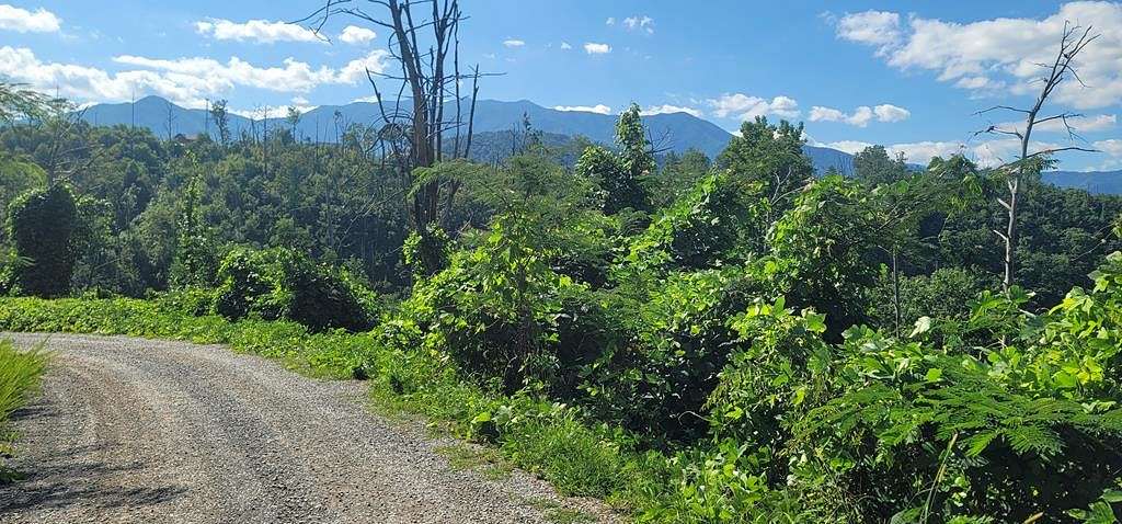 0.54 Acres of Residential Land for Sale in Gatlinburg, Tennessee