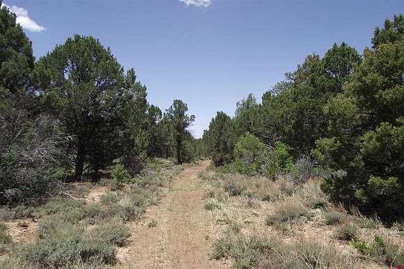 40.59 Acres of Recreational Land for Sale in Montrose, Colorado