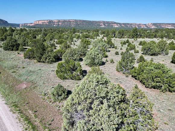 5.66 Acres of Agricultural Land for Sale in Ramah, New Mexico