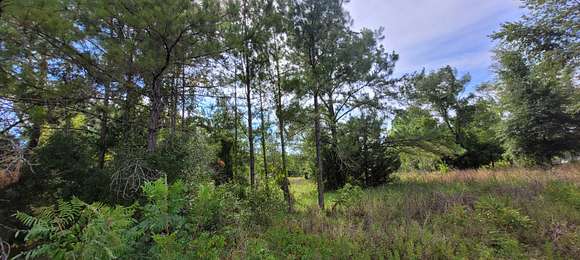 1.27 Acres of Residential Land for Sale in Bronson, Florida