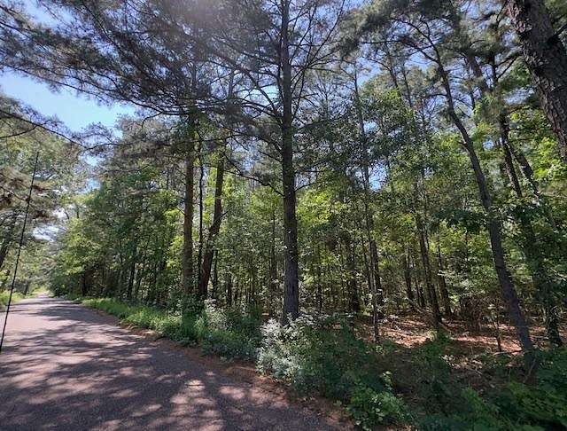 12.9 Acres of Recreational Land & Farm for Sale in Hallsville, Texas