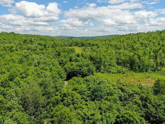 51 Acres of Recreational Land & Farm for Sale in Springfield, Maine