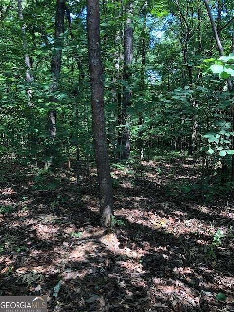 1.14 Acres of Residential Land for Sale in Demorest, Georgia