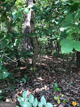 1 Acres of Residential Land for Sale in Demorest, Georgia