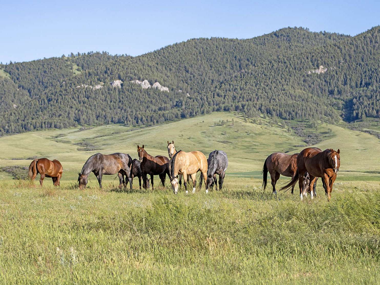 2,060 Acres of Recreational Land & Farm for Sale in Lewistown, Montana